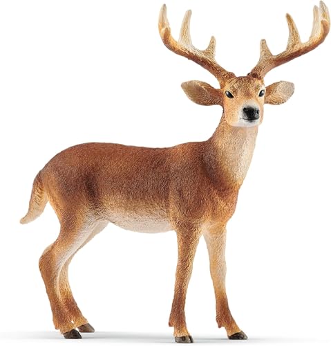 Schleich WILD Life | Weißwedelhirsch 14818 | ab 3 Jahren | 11 x 5 x 10 cm