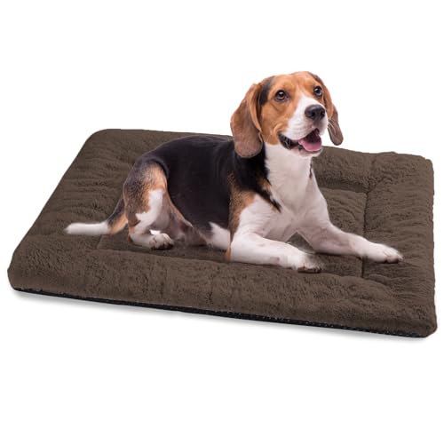 Baodan Hundebett Mittelgroße Hunde Waschbar, 90x60 cm Hundekissen Flauschig mit rutschfeste Unterseite, Hundebetten für Mittelgroße Hunde, braun