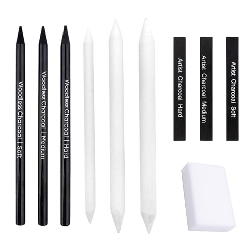 Helweet Zeichenkohle Set, Skizzier und Zeichenstifte Set, Kohlestifte für Skizzen, Kohlestifte set, Holzkohle Stick, Malset für Anfänger und Künstler, zum Malen, Skizzieren, Ausmalen, 10 Stücke