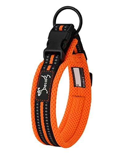 PETTOM Halsband Hund Verstellbar Nylon Reflektierend, Orange S