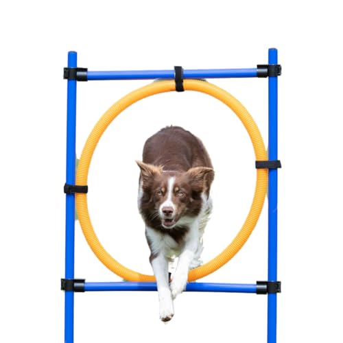 Trixie Agility Ring, 115×ø 3 cm, ø 65 cm
