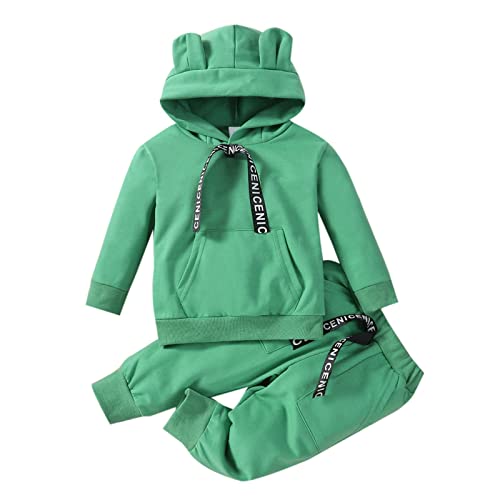 Langarmshirt Mädchen Kleinkind Kinder Kinder Kleinkind Baby Jungen Langarm Niedlichen Tiere Hoodie Sweatshirt Pullover Tops Baumwolle Hosen Hosen Outfit Set 2 STÜCKE Kleidung (Light Blue, 2-3 Years)