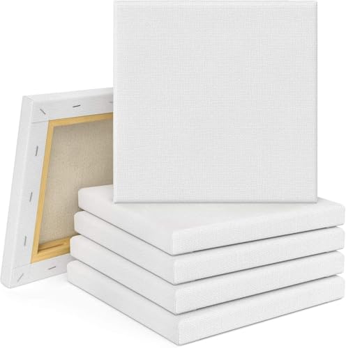 Tebery 10er Set Leinwand mit Keilrahmen 20x20cm, Leinwandbrett Künstler Keilrahmen, Aus 100% Baumwolle Keilrahmen zum Bemalen Ölfarben Skizzieren Zeichnen weiß