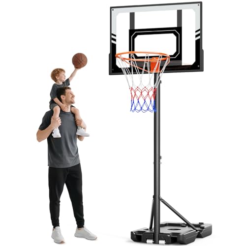 Basketballkorb Outdoor Kinder 107-213 cm, Basketballkörbe mit Ständer und Rollen, Basketball Korb Höhenverstellbar mit Bruchsichere PC Rückwand,Geschenk für Kinder Grau