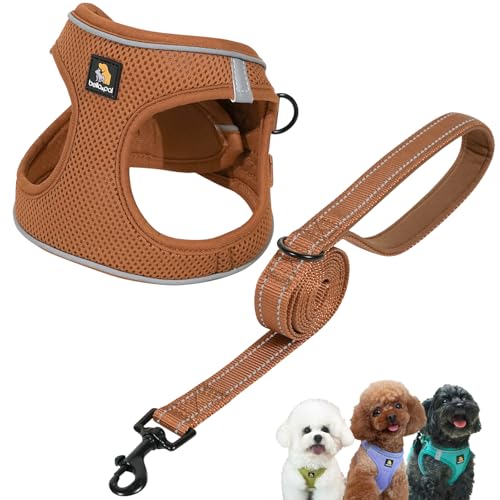 BELLA & PAL Hundegeschirr Kleine Hunde mit Leine, Step-in Geschirr aus Air Mesh, Anti Zug Reflektierend Atmungsaktiv Brustgeschirr, Welpengeschirr für Kleine Hunde, Katzengeschirr, Mokka, S