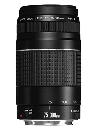 Canon 6473A003(AA) fix Objektiv EF DC 4,0-5, 6/75-300 III