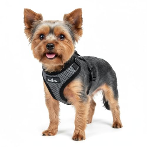 Beroni® Hundegeschirr für kleine Hunde ausbruchsicher, verstellbar & leicht, ohne Über-den-Kopf-Ziehen, Sicherheitsgeschirr grau-schwarz für Chihuahua, Zwergspitz Softgeschirr (XS/S)