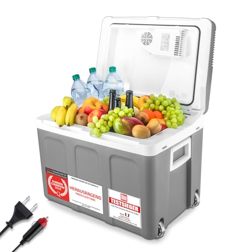 TZS First Austria - Kühlbox 45L elektrisch 12V 230V Anschluss für Auto & Steckdose - Thermoelektrische Cool Box kühlt & wärmt - Mini Kühlschrank mit Rollen - Für Camping, Festivals, Reisen - Grau