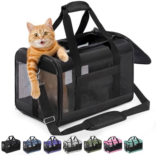 Conlun Transportbox Katze M, Flugzeugtaugliche Katzentransportbox bis 7kg