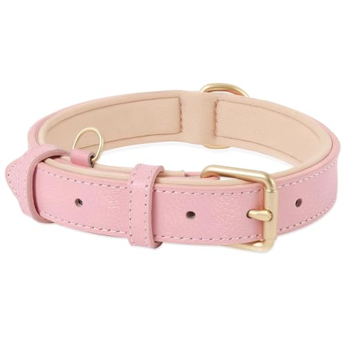 HEELE Hundehalsband Leder Hundehalsband mit gepolstert und echtes Leder, Verstellbar, Halsband für Welpen Kleine Hunde, Rosa, XS