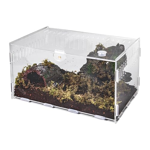 Schnecken Terrarium, Reptile Growth Mini Terrarium, Insekten-Terrariums Set, Transport Box für Spinnen Gecko Hamster Schlangen Schildkröten Tragbarer (40 x 25 x 20cm)
