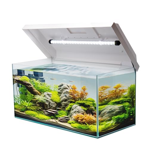 VIALIA Aquarium 60x30x30 cm 54 Liter | mit Juwel LED Abdeckung weiß | Glasbecken für Fische & Wasserpflanzen | Stoßfestes Floatglas mit Diamantschliff | Für Süß- & Salzwasser geeignet