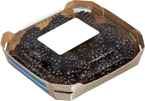 Brombeeren 125g