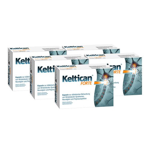 Keltican forte Kapseln, 5x40 St = 200 Stück unterstützt die Regeneration der peripheren Nerven