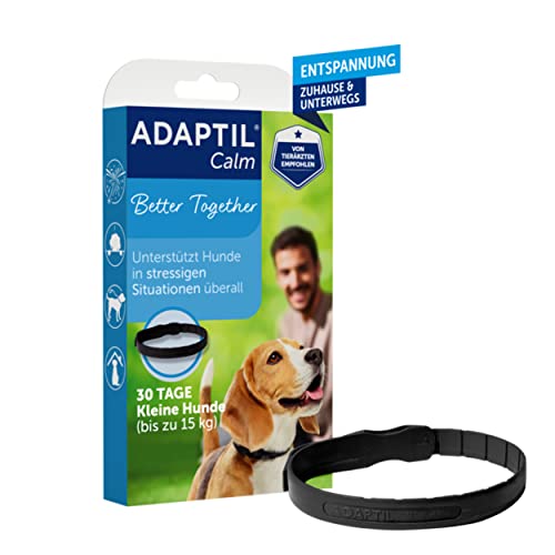 ADAPTIL Calm Halsband | Beruhigendes Halsband für kleine Hunde | Anti-Stress für mehr Entspannung Zuhause und Unterwegs | 30 Tage Anwendung | von Tierärzten empfohlen, klinisch getestet