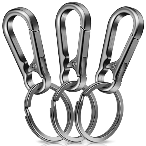 3 Stück Karabiner Schlüsselanhänger,Caianwin Karabinerhaken Klein Metall Schlüsselkarabiner,Schlüsselring mit Karabiner für Aufhängen im Rucksack, Autoschlüssel