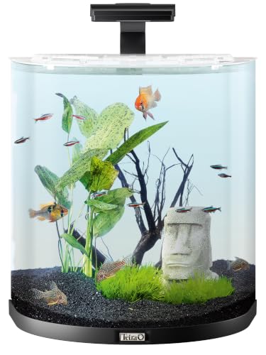 Tetra Explorer Line 60 L Aquarium Komplett-Set - Design Aquarium mit gebogener Frontscheibe, LED-Beleuchtung, Technik, Futter und Pflegemitteln, Farbe: Schwarz