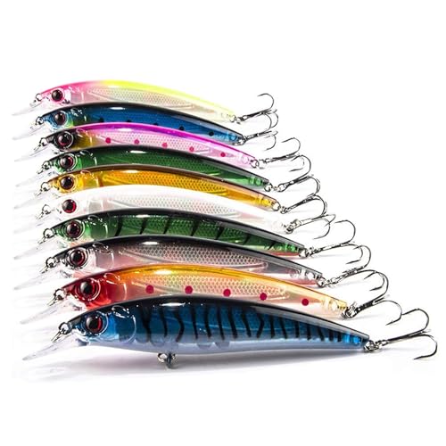 Aozzy 10 Teilig Blinker und Spinner Köder Angelzubehör Angeln, Wobbler Angelköder, Perfekt zum Angeln auf Forellen, Barsche, Raubfische, Zander und Hechte