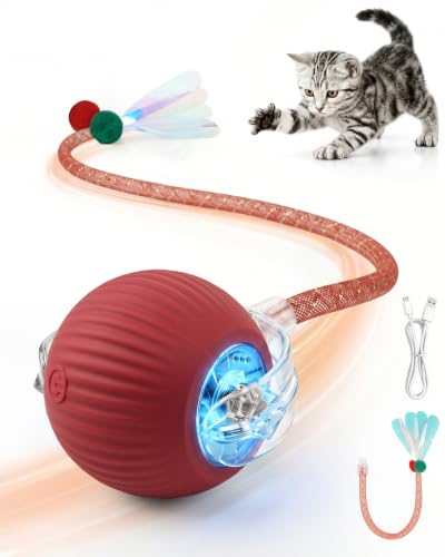 Interaktives Katzenspielzeug Ball, Elektrischer Katzenball Für Drinnen