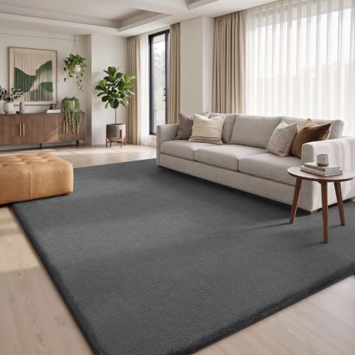 Homaxy Moderner Teppich Wohnzimmer 120x160 cm Kuscheliger Flauschig Weich waschbar Teppiche Anti-Rutsch Unterseite Kurzflor Matte fürs Flur, Kinderzimmer, Schlafzimmer, Dunkelgrau