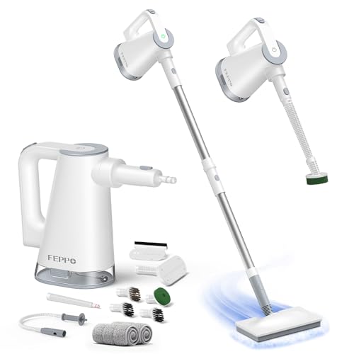 FEPPO Dampfreiniger 10-in-1 mit abnehmbarem Handdampfreinigerad