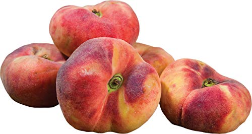 Tellerpfirsiche, 500 g