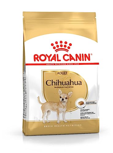 Royal Canin Chihuahua Adult | 500 g | Trockenfutter für ausgewachsene Chihuahuas | Zur Unterstützung der Stuhlqualität und der Zahngesundheit | Hohe Akzeptanz bei Hunden