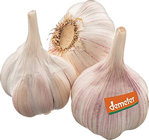 Bio Knoblauch, Stück