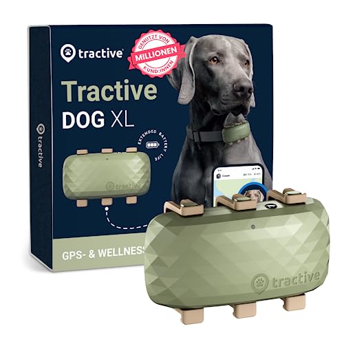 Tractive XL GPS Tracker für Hunde | Empfohlen von Martin Rütter | Bis zu 1 Monat Akku | Weltweite Live-Ortung | Weglaufalarm | Gesundheitswarnungen & Aktivitätstracking | Mehrfacher Testsieger