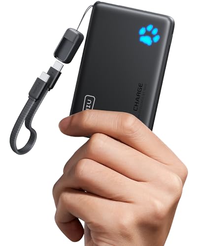INIU Power Bank, 45W 10000mAh Powerbank Leichteste und Klein Aber Stark (USB C In & Out), PD3.0 Externe Handyakkus with Flashlight, Kompatibel mit iPhone 17 16 15 Pro Max Mini Samsung S24 S23, iPad