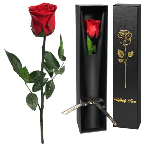 Yamonic Ewige Rose Geschenke für Frauen,Infinity Rose mit Stiel Valentinstagsgeschenk für Sie, Echte Rose in Geschenkbox Geburtstagsgeschenk Frauen,Konservierte Blumen Geschenk Valentinstag,Rote Rose