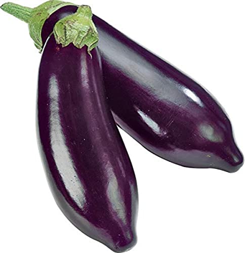 Bio Auberginen Stück