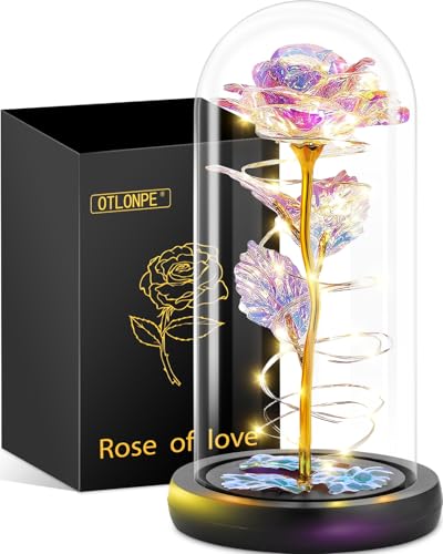 Otlonpe Ewige Rose Geschenke für Frauen, Blumen Geburtstagsgeschenk Weihnachten Geschenke Muttertagsgeschenke Valentinstag Rose Geschenk für Sie Fraue Mama Freundin Oma