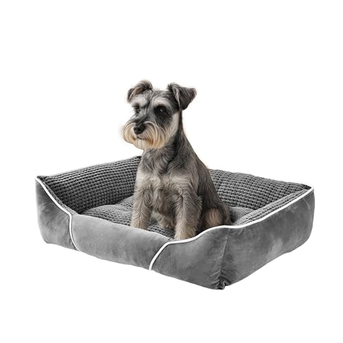 YITAHOME Hundebett Mittelgroße Hunde,51x48cm,Hundekorb Hunde,Orthopädisches Hundebett Ergonomisches Hundesofa,Bezug Waschbar,Erhöhte Ränder, rutschfeste Unterseite