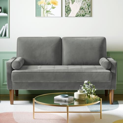 Meskanu Couch 2 Sitzer, 121 cm Samt Kleines Sofa mit 2 Wurfkissen, Modern Mini Sofa, Getuftetes Kleine Couch für Wohnzimmer/Schlafzimmer/Büro/Wohnung, Grau