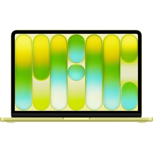 Apple 13