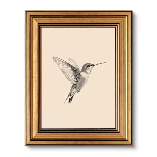 ARPEOTCY Vintage Goldener Rahmen Wandbilder Wohnzimmer, Wanddeko mit Tiermotiven, Leinwand Bilder Wandbilder für Wohnzimmer & Schlafzimmer, Kolibri 25L x 20W cm