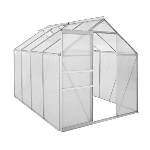 Zelsius Aluminium Gewächshaus 250 x 190 cm | 4 mm Hohlkammerplatten, UV-beständig, Winterfest | Treibhaus, Pflanzenhaus, Tomatenhaus, Frühbeet, Anbau Gewächshaus, Tomatengewächshaus, Gartenhaus