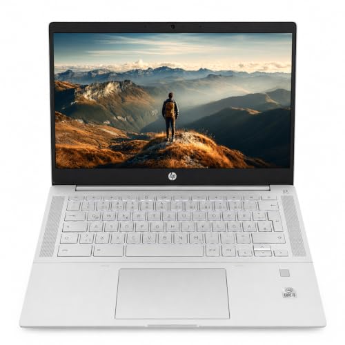 HP Pro C640 Chromebook 14