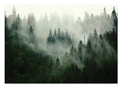 WallArena Vlies Fototapete, Wald, 368x254cm