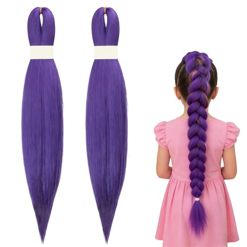 2 Stück 26 Zoll Lila Perücke,Lila Haare Zum Einflechten,Rumi Perücke,Für Halloween Und Kostümpartys Karneval Deko