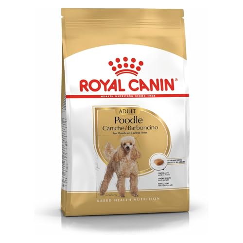 Royal Canin Poodle Adult | 3 kg |Trockenfutter für ausgewachsene Poodle | Zur Unterstützung des Fells und des Muskeltonus | Für Hunde ab dem 10. Lebensmonat