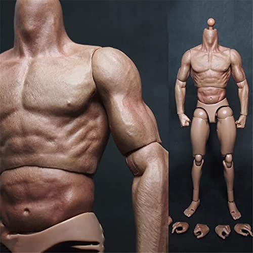 1/6 Männlicher Körper,12'' Flexibel Muskulatur Action Figur Puppen für 1:6 Maßstab Kopf Skulptur