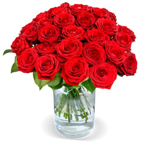 Blume Ideal Rosenstrauß | 15 Red Naomi Rosen | Ø 40–50 cm | Premium Rosen vom Floristen | Top Qualität | 7-Tage-Frischegarantie | Ideales Blumengeschenk