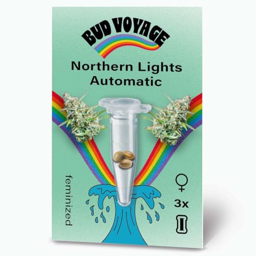 BudVoyage Northern Lights Auto Verpackung