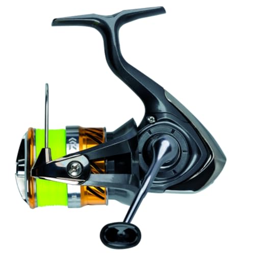 Daiwa 20 Laguna Lt 2000 Jb4 0.13Yl - Spinnrolle + geflochtene Schnur, Angelrolle zum Spinnfischen, Raubfischrolle