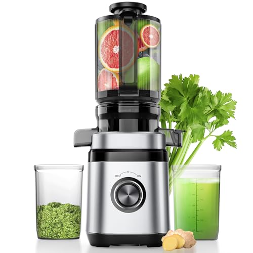 Entsafter, Slow Juicer, Entsafter Gemüse und Obst Testsieger mit | 350W DC-Ultrasilent-Motor | 110MM Einfüllöffnung | 2 Tassen | Saftpresse Elektrisch,Silber