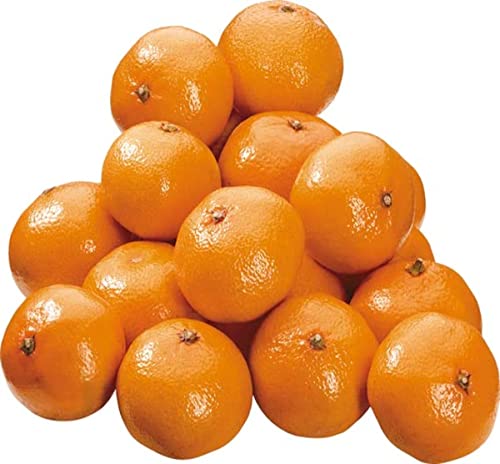 Frisches Obst Clementinen, 750 g