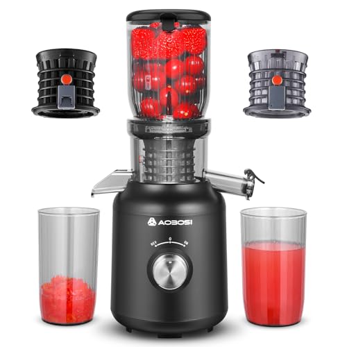 Slow Juicer-AOBOSI 250W Entsafter-Entsafter gemüse und obst testsieger mit 103 MM Einfüllschacht und 2 metallfreien Filtern-1.2L Saftpresse elektrisch mit 2 Patenten,Schwarz