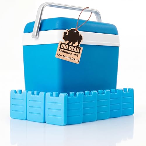 Kühlbox inkl. 12 Kühlakkus 24 Liter Kühlbox mit Akku für bis zu 11 h Kühlung